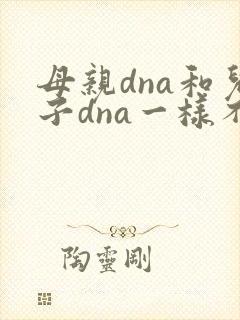 母亲dna和儿子dna一样不封面