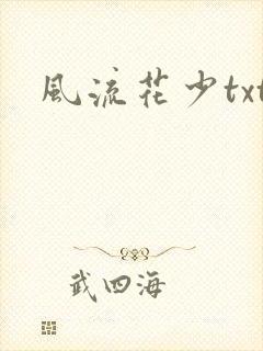 风流花少txt
