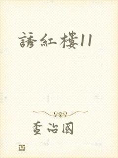 诱红楼11