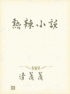 热辣小说