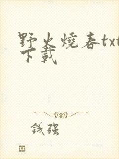 野火烧春txt下载
