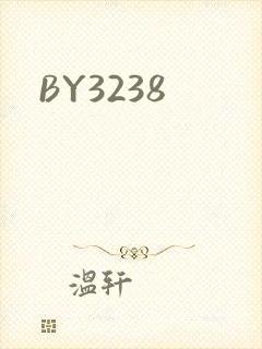 BY3238封面