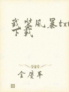 武装风暴txt下载