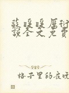 苏暖暖厉衍琛小说全文免费阅读