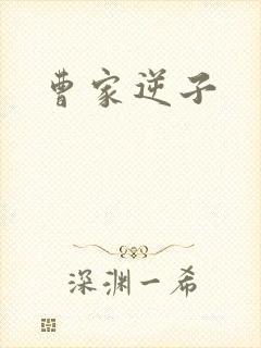 曹家逆子
