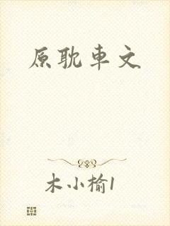 原耽车文封面