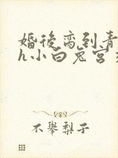 婚后脔到青梅哭h小白兔宫交h封面