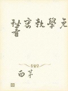 秘密教学免费观看