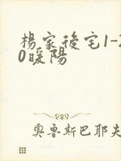 杨家后宅1-20暖阳封面