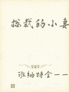 总裁的小妻子