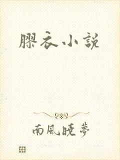胶衣小说封面