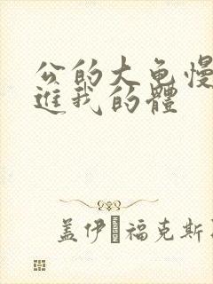 公的大龟慢慢挺进我的体