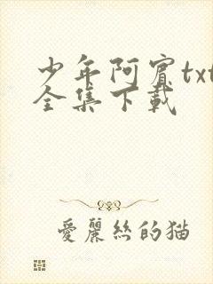 少年阿宾txt全集下载