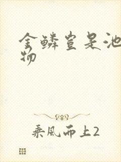 金鳞岂是池中之物封面