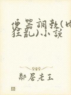 便器调教(肉体狂乱)小说封面