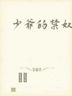 少爷的禁奴