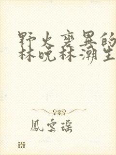 野火变异的父爱林晚林潮生