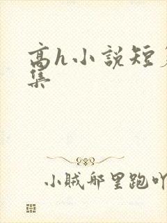 高h小说短篇合集