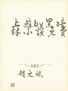 上瘾by黑暗森林小说免费封面
