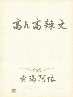 高h高辣文封面