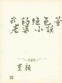我的绝色董事长老婆 小说
