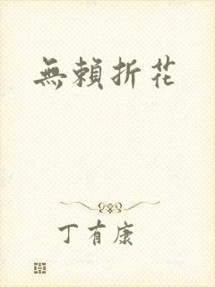 无赖折花封面