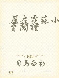 厉夜霆苏小汐免费阅读
