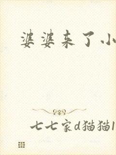 婆婆来了小说