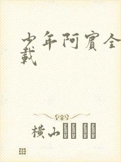 少年阿宾全集下载