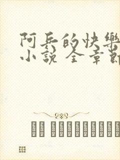 阿兵的快乐生活小说 全章节阅读免费