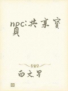 npc:共享宝贝