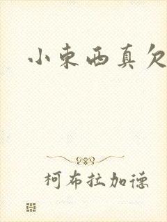 小东西真欠弄