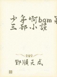 少年啊bgm第三部小说