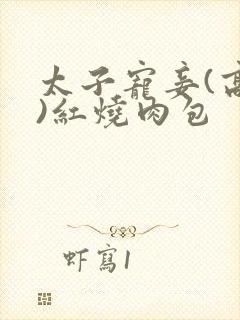 太子宠妾(高肉)红烧肉包
