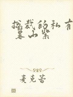 总裁的私有宝贝 暮山紫