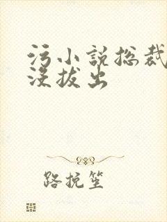 污小说总裁整夜没拔出