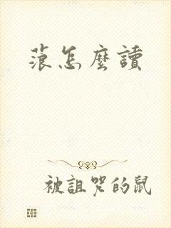 书籍封面