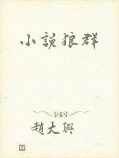 小说狼群封面