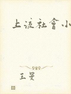 上流社会小说