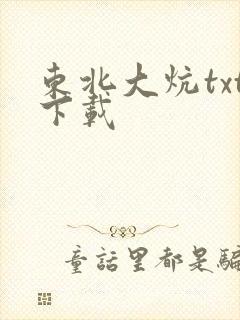 东北大炕txt下载封面