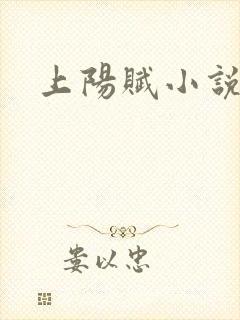 上阳赋小说