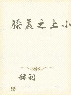膝盖之上小说