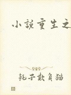 小说重生之官道