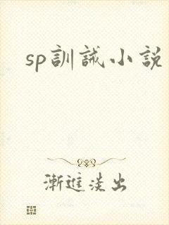 sp训诫小说封面