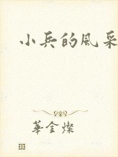 小兵的风采封面