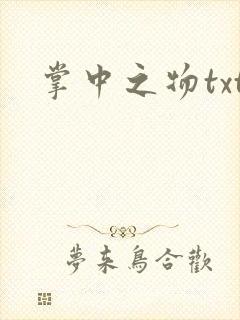掌中之物txt封面