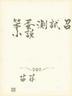 笨蛋测试召唤兽小说封面