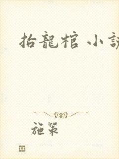 抬龙棺 小说