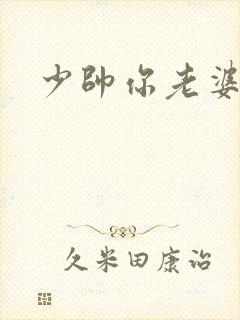 少帅你老婆