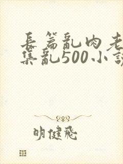 长篇乱肉老师合集乱500小说